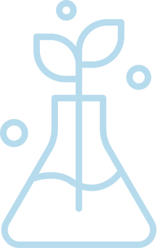 SOY IB: Baccalaureato Internazionale